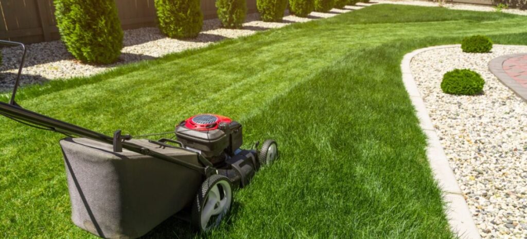 How to Find the Best Lawn Care Company Near to You? Best Lawn Care Company